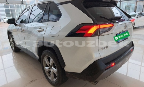 Buy Used Toyota RAV4 White Car in Tashkent in Toskent Buy Used Toyota RAV4 White Car in Tashkent in Toskent