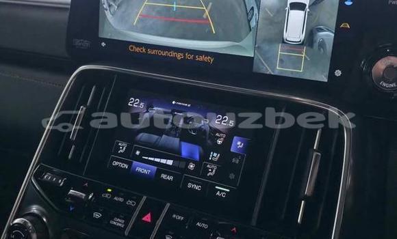 Buy Used Lexus LX White Car in Tashkent in Toskent Buy Used Lexus LX White Car in Tashkent in Toskent