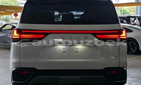 Buy Used Lexus LX White Car in Tashkent in Toskent Buy Used Lexus LX White Car in Tashkent in Toskent