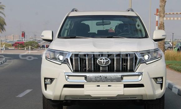 Buy Used Toyota Land Cruiser Prado White Car in Tashkent in Toskent