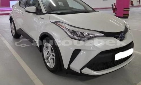 Buy Used Toyota C-HR White Car in Tashkent in Toskent