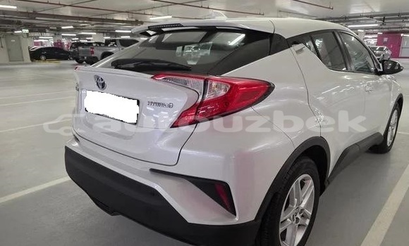 Buy Used Toyota C-HR White Car in Tashkent in Toskent Buy Used Toyota C-HR White Car in Tashkent in Toskent