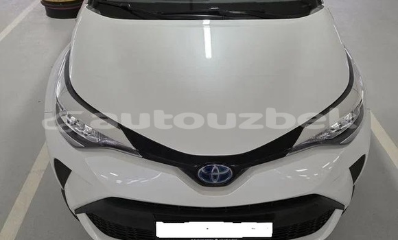 Buy Used Toyota C-HR White Car in Tashkent in Toskent Buy Used Toyota C-HR White Car in Tashkent in Toskent