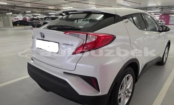 Buy Used Toyota C-HR White Car in Tashkent in Toskent Buy Used Toyota C-HR White Car in Tashkent in Toskent