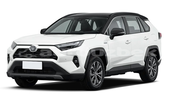 Buy New Toyota RAV4 White Car in Carhin in Samarkand Buy New Toyota RAV4 White Car in Carhin in Samarkand