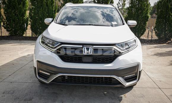 Buy Used Honda CR–V White Car in Beskent in Kaskadar Buy Used Honda CR–V White Car in Beskent in Kaskadar