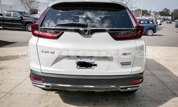 Buy Used Honda CR–V White Car in Beskent in Kaskadar Buy Used Honda CR–V White Car in Beskent in Kaskadar