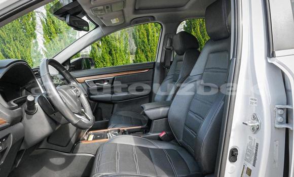 Buy Used Honda CR–V White Car in Beskent in Kaskadar Buy Used Honda CR–V White Car in Beskent in Kaskadar