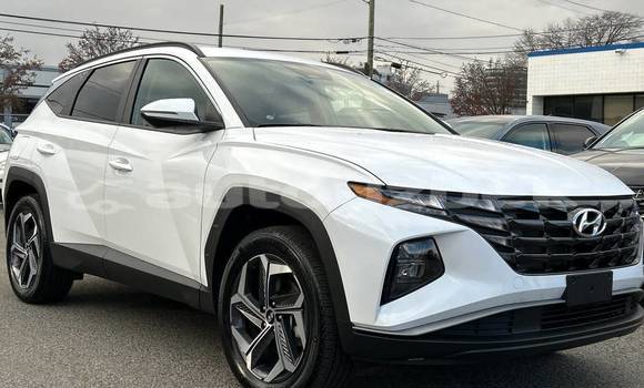 Buy Used Hyundai Tucson White Car in Buston in Korakalpogiston