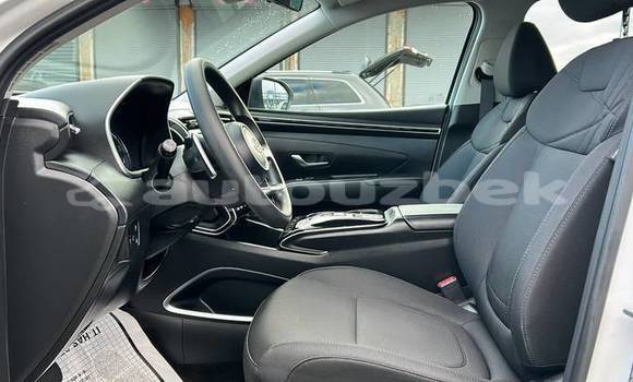 Buy Used Hyundai Tucson White Car in Buston in Korakalpogiston Buy Used Hyundai Tucson White Car in Buston in Korakalpogiston