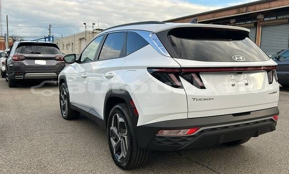 Buy Used Hyundai Tucson White Car in Buston in Korakalpogiston Buy Used Hyundai Tucson White Car in Buston in Korakalpogiston