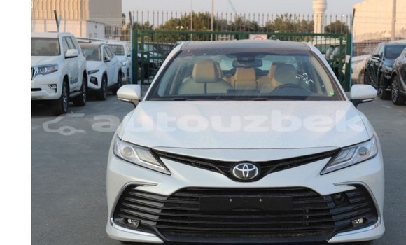 Buy Used Toyota Camry White Car in Tashkent in Toskent