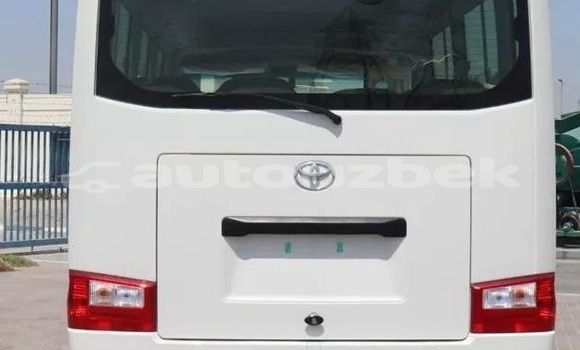 Buy Used Toyota Coaster White Car in Tashkent in Toskent Buy Used Toyota Coaster White Car in Tashkent in Toskent