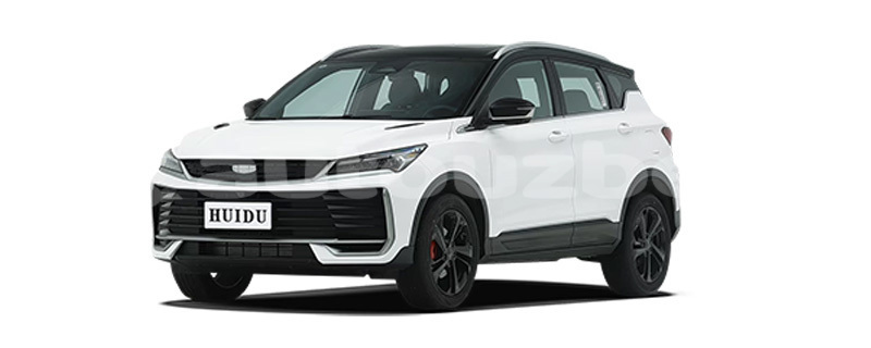 Big with watermark geely beauty leopard korakalpogiston kegayli 4713