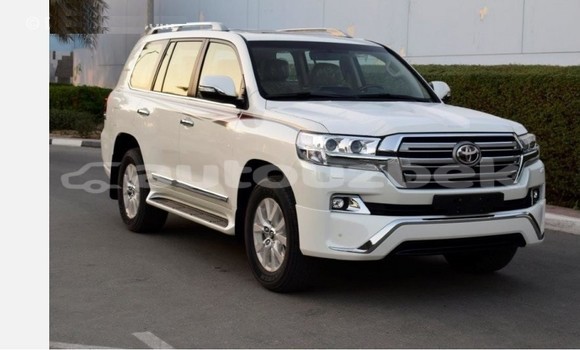 Buy Used Toyota Land Cruiser White Car in Tashkent in Toskent