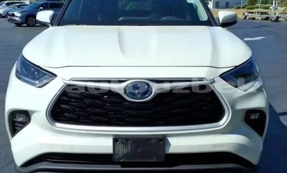 Buy Used Toyota Highlander White Car in Beskent in Kaskadar