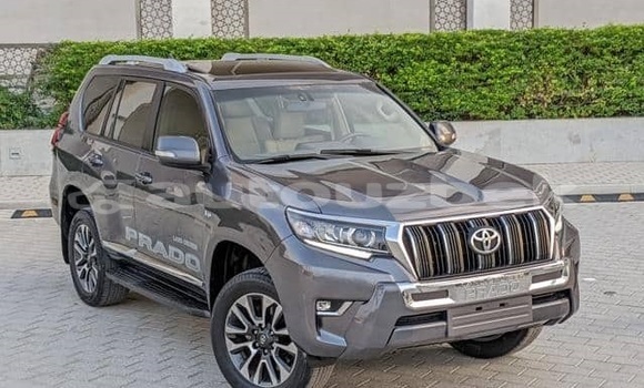 Buy Used Toyota Land Cruiser Prado Other Car in Tashkent in Toskent