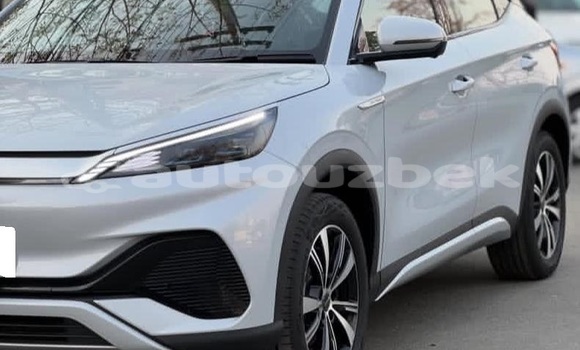 Buy Used BYD F3 White Car in Tashkent in Toskent Buy Used BYD F3 White Car in Tashkent in Toskent