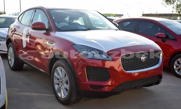 Buy Import Jaguar E-Pace Red Car in Import - Dubai in Andijon Buy Import Jaguar E-Pace Red Car in Import - Dubai in Andijon