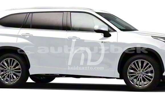 Buy New Toyota Highlander White Car in Honobod in Andijon Buy New Toyota Highlander White Car in Honobod in Andijon