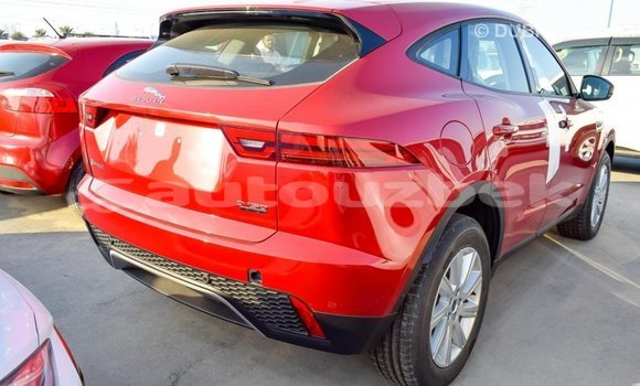 Buy Import Jaguar E-Pace Red Car in Import - Dubai in Andijon Buy Import Jaguar E-Pace Red Car in Import - Dubai in Andijon