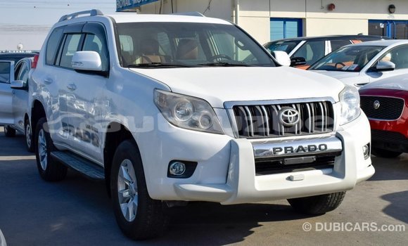 Buy Import Toyota Prado White Car in Import - Dubai in Andijon Buy Import Toyota Prado White Car in Import - Dubai in Andijon