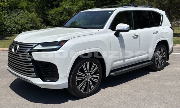 Buy Used Lexus LX White Car in Tashkent in Toskent