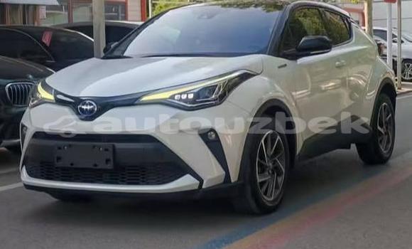 Buy Used Toyota C-HR White Car in Beskent in Kaskadar