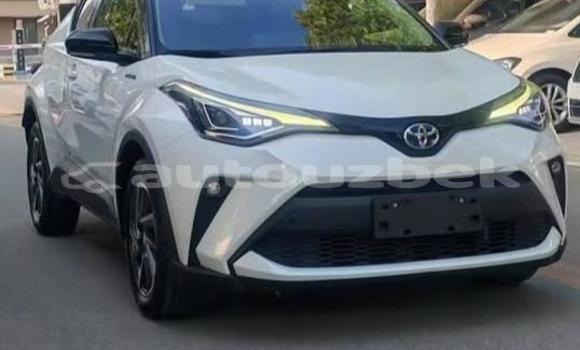 Buy Used Toyota C-HR White Car in Beskent in Kaskadar Buy Used Toyota C-HR White Car in Beskent in Kaskadar