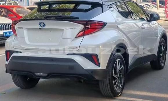 Buy Used Toyota C-HR White Car in Beskent in Kaskadar Buy Used Toyota C-HR White Car in Beskent in Kaskadar