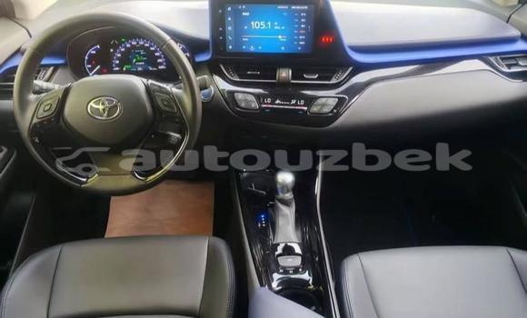 Buy Used Toyota C-HR White Car in Beskent in Kaskadar Buy Used Toyota C-HR White Car in Beskent in Kaskadar
