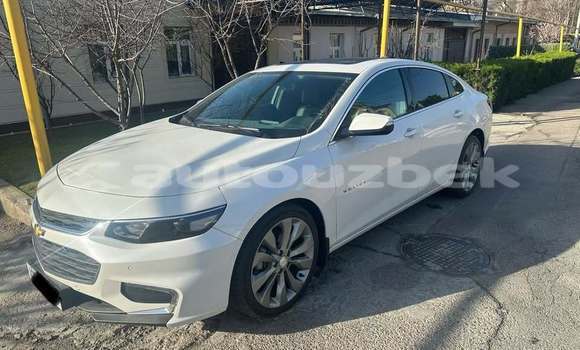 Buy Used Chevrolet Malibu White Car in Angren in Toskent Buy Used Chevrolet Malibu White Car in Angren in Toskent