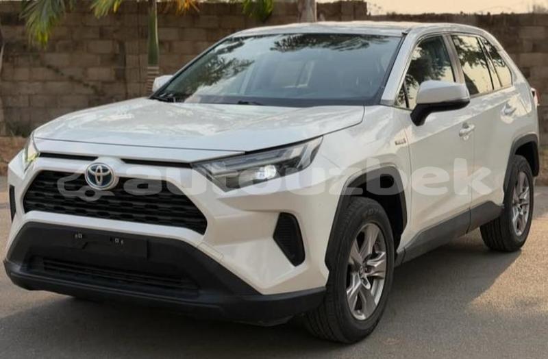 Big with watermark toyota rav4 kaskadar beskent 4810
