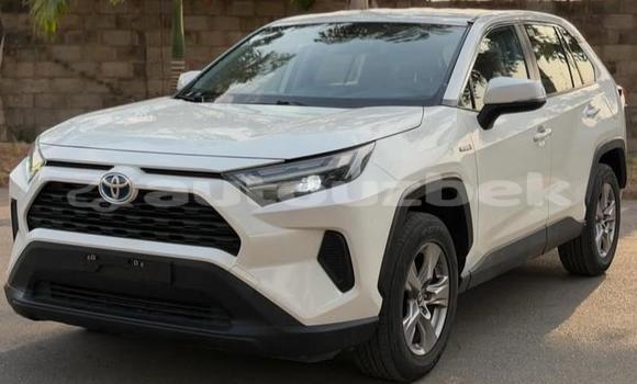 Buy Used Toyota RAV4 White Car in Beskent in Kaskadar Buy Used Toyota RAV4 White Car in Beskent in Kaskadar