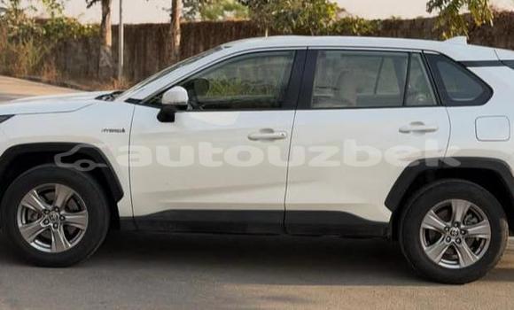 Buy Used Toyota RAV4 White Car in Beskent in Kaskadar