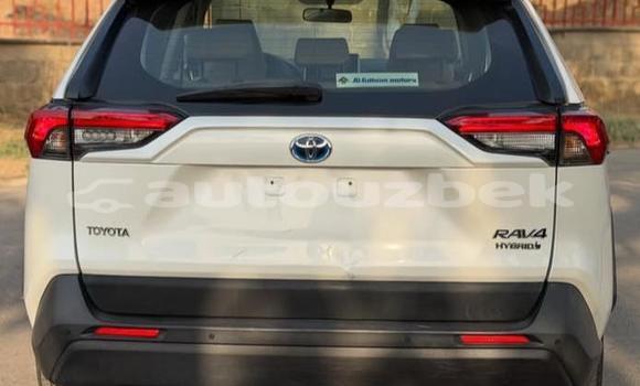 Buy Used Toyota RAV4 White Car in Beskent in Kaskadar Buy Used Toyota RAV4 White Car in Beskent in Kaskadar