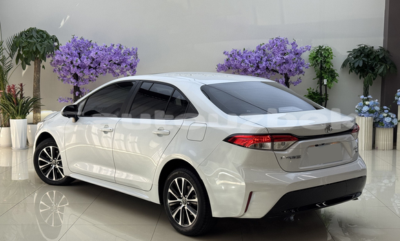 Buy Used Toyota Corolla White Car in Tashkent in Toskent