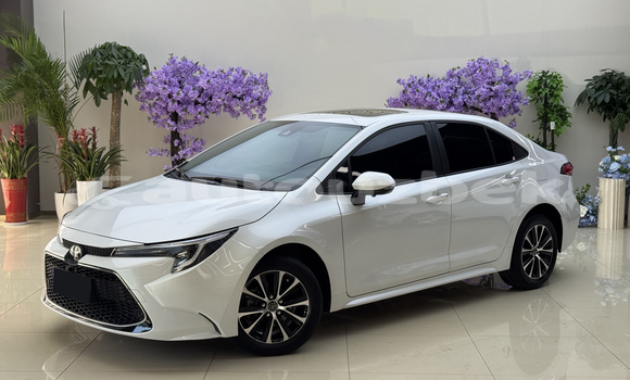 Buy Used Toyota Corolla White Car in Tashkent in Toskent Buy Used Toyota Corolla White Car in Tashkent in Toskent