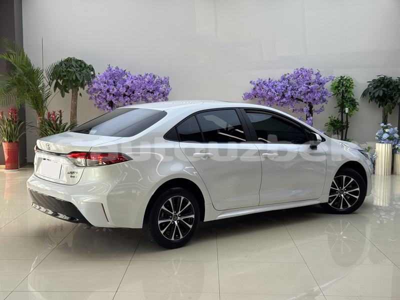 Big with watermark toyota corolla toskent toskent 4815