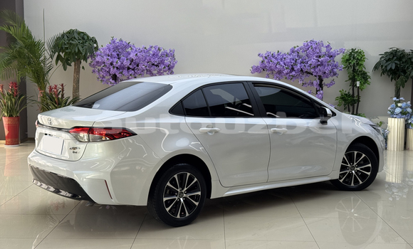 Buy Used Toyota Corolla White Car in Tashkent in Toskent Buy Used Toyota Corolla White Car in Tashkent in Toskent