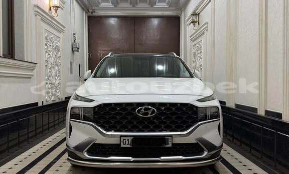 Buy Used Hyundai Santa Fe White Car in Toskent in Toskent