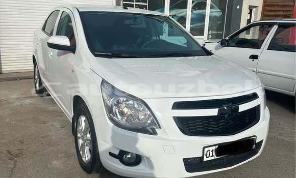 Buy Used Toyota Altezza White Car in Toskent in Toskent