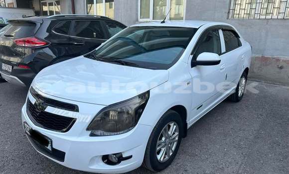 Buy Used Chevlolet Spin White Car in Toskent in Toskent