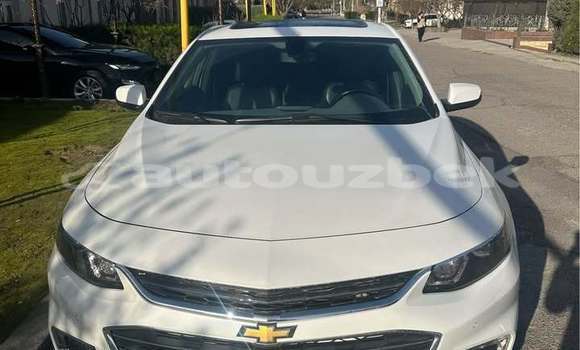 Buy Used Chevrolet Malibu White Car in Toskent in Toskent