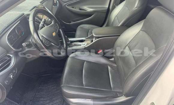 Buy Used Chevrolet Malibu White Car in Toskent in Toskent Buy Used Chevrolet Malibu White Car in Toskent in Toskent