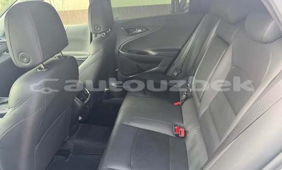 Buy Used Chevrolet Malibu White Car in Toskent in Toskent Buy Used Chevrolet Malibu White Car in Toskent in Toskent