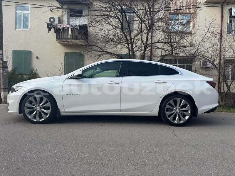 Big with watermark chevrolet malibu toskent toskent 4841