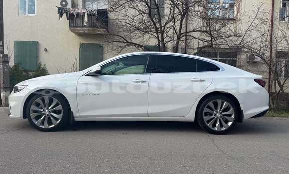 Buy Used Chevrolet Malibu White Car in Toskent in Toskent Buy Used Chevrolet Malibu White Car in Toskent in Toskent