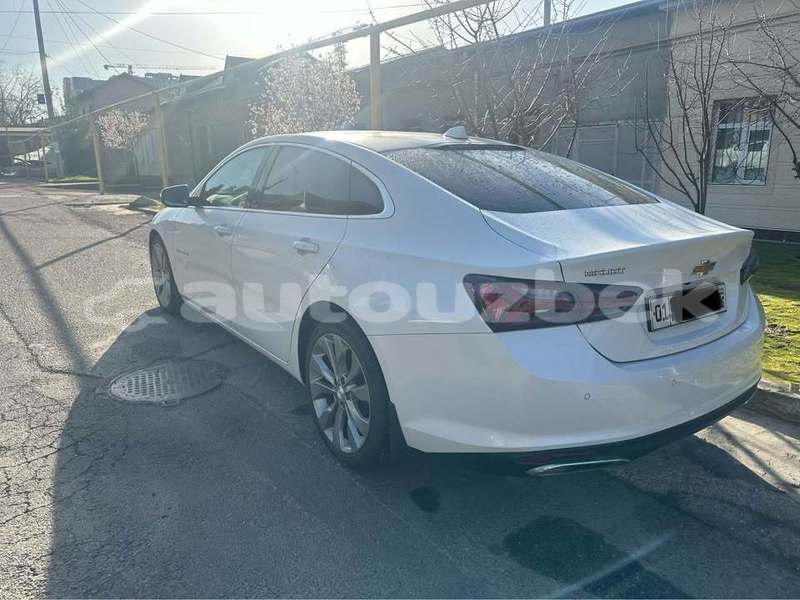 Big with watermark chevrolet malibu toskent toskent 4841