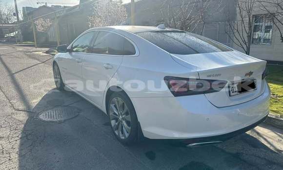 Buy Used Chevrolet Malibu White Car in Toskent in Toskent Buy Used Chevrolet Malibu White Car in Toskent in Toskent